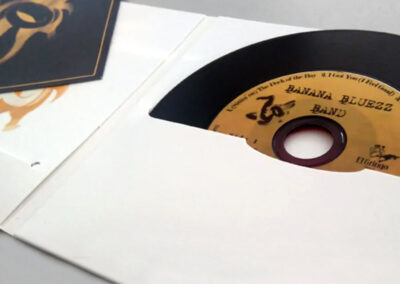 copysan Impresión CD vinilo con Digifile y libreto