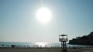 Duplica e imprime tus CDs y DVDs también en Agosto